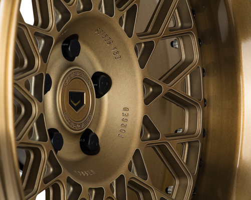 Vossen era-1 Brons van Vossen Brickell de Ruimtevaartrang van 3 Stukranden
